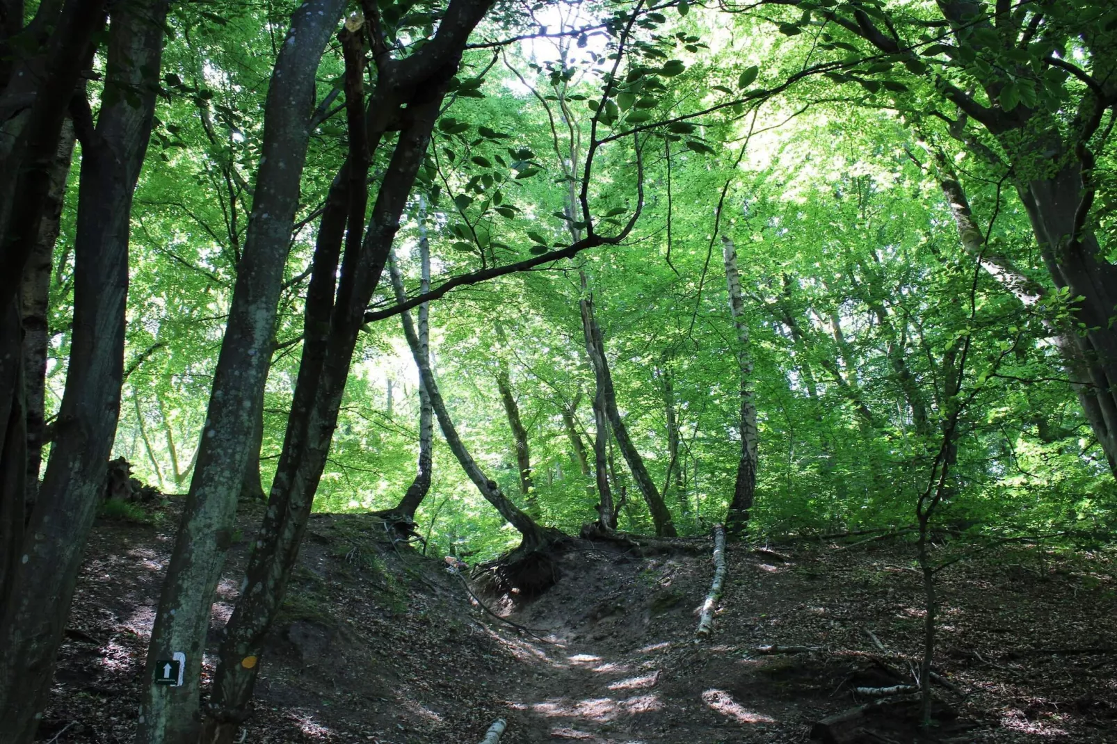 6 persoons vakantie huis in Ebeltoft-Niet-getagd