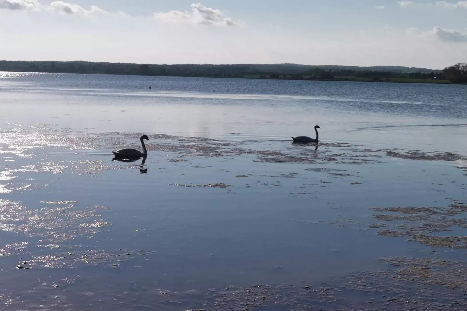 Kust ontsnapping in Praesto -- By Traum Ferienwohnungen-Waterzicht