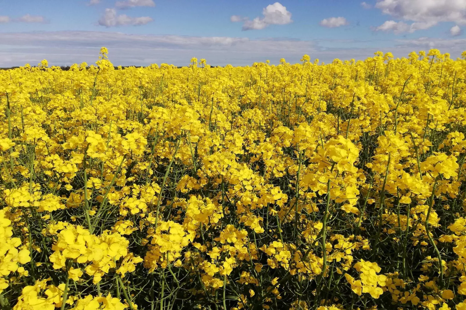 4 persoons vakantie huis in Ebeltoft-By Traum-Waterzicht