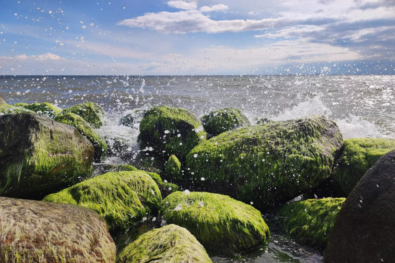 Rustig toevluchtsoord bij strand -- By Traum Ferienwohnungen-Waterzicht
