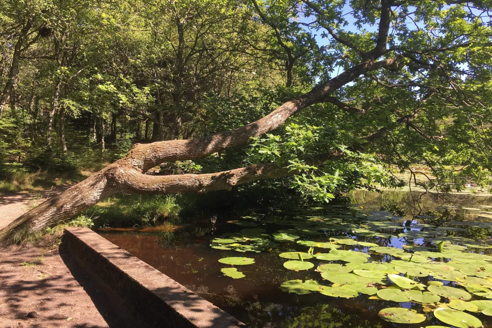 6 persoons vakantie huis in Bindslev-By Traum-Waterzicht