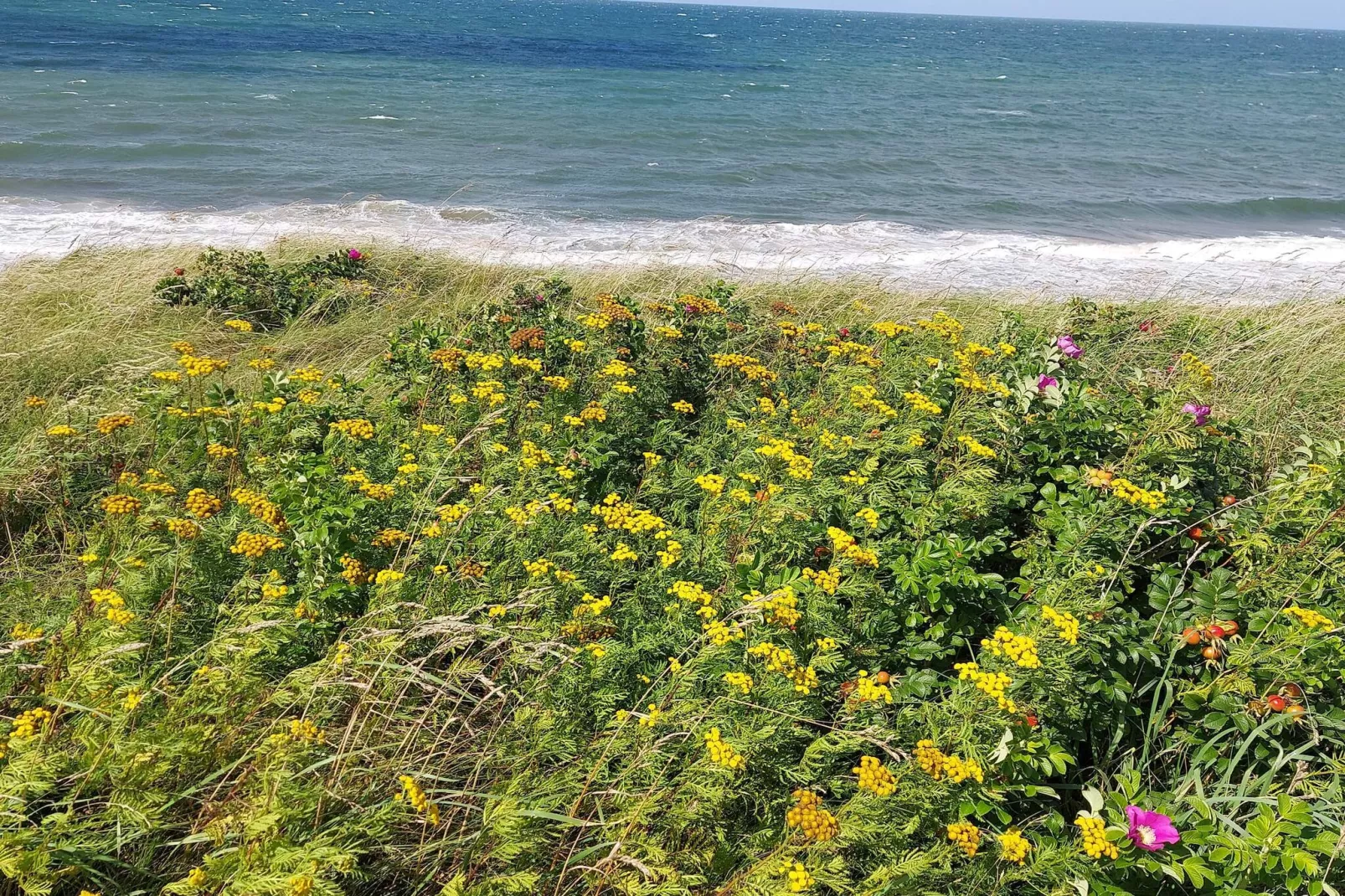 Luxe zwembadvilla in Dronningmolle -- By Traum Ferienwohnungen-Waterzicht