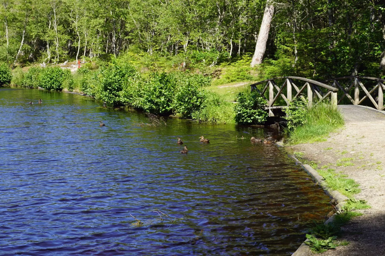 6 persoons vakantie huis in Ålbæk-By Traum-Waterzicht