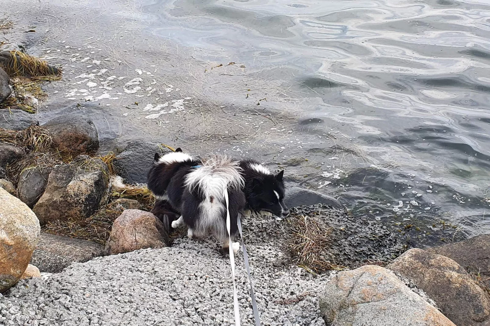 8 persoons vakantie huis in Harpelunde-By Traum-Waterzicht