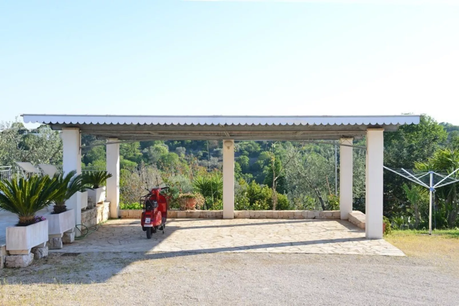 Holiday home Cisternino-Trullo Ulivo Antico-Buitenkant zomer