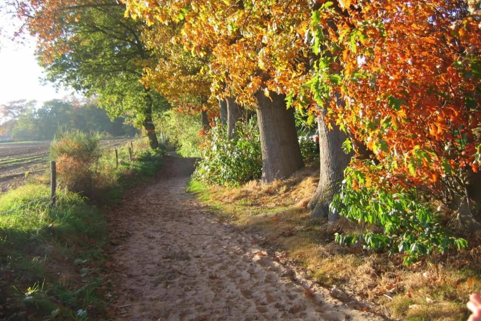 Vakantiepark De Lochemse Berg 2-Gebieden zomer 20km