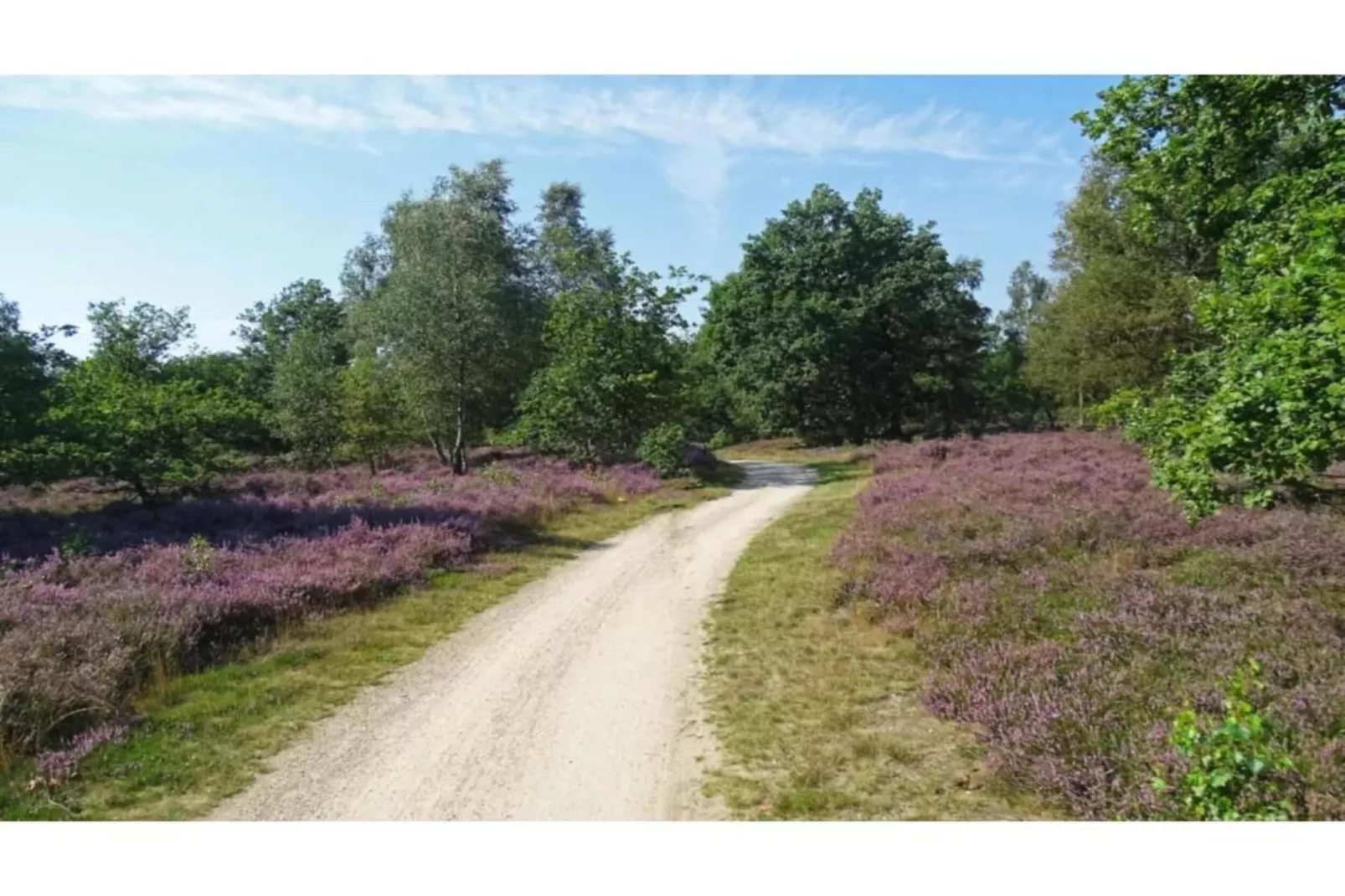 Bospark Markelo 7-Gebieden zomer 20km