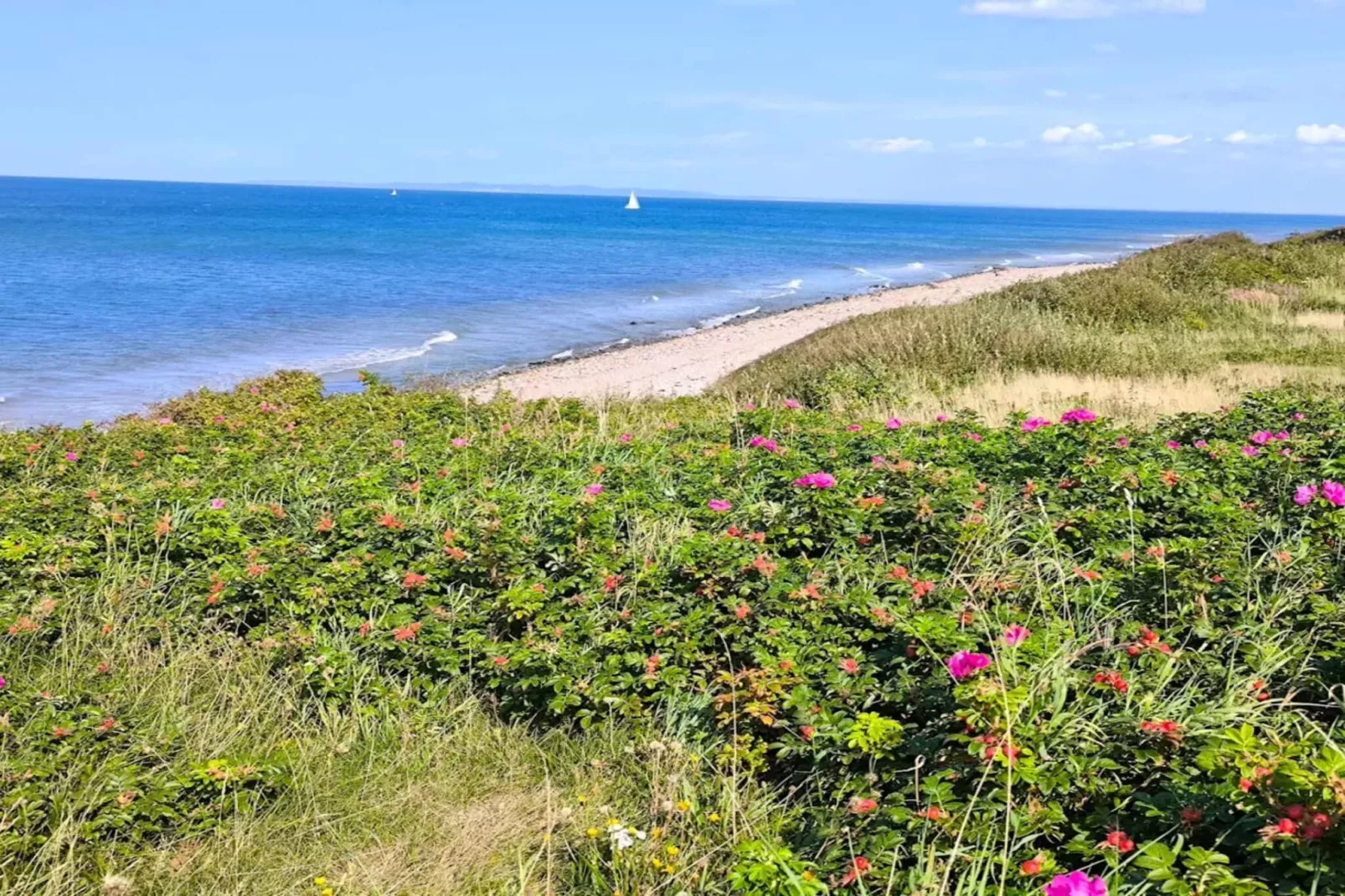8 persoons vakantie huis in Gilleleje-By Traum-Waterzicht