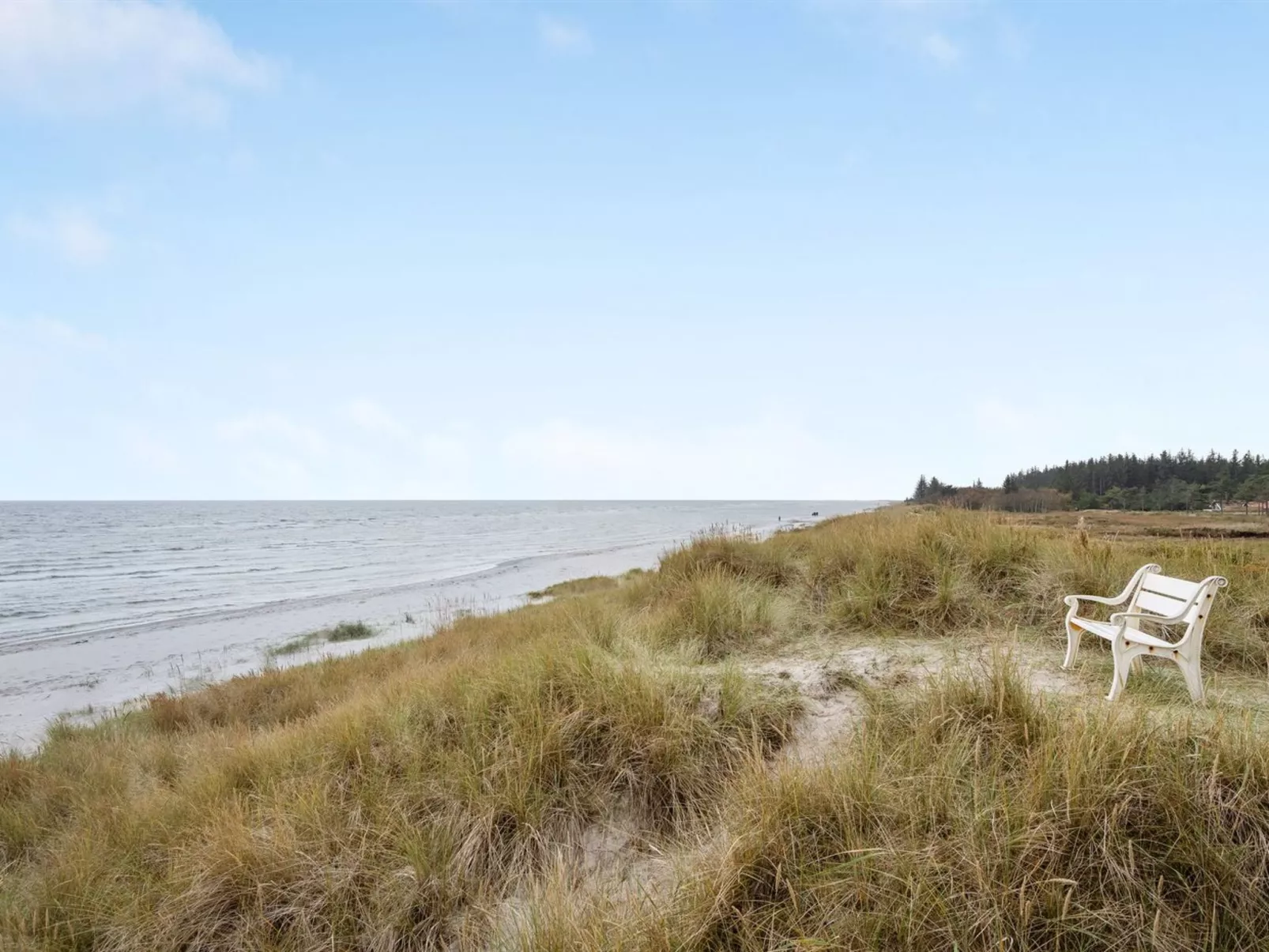 "Amaryllis" - 100m from the sea-Buiten