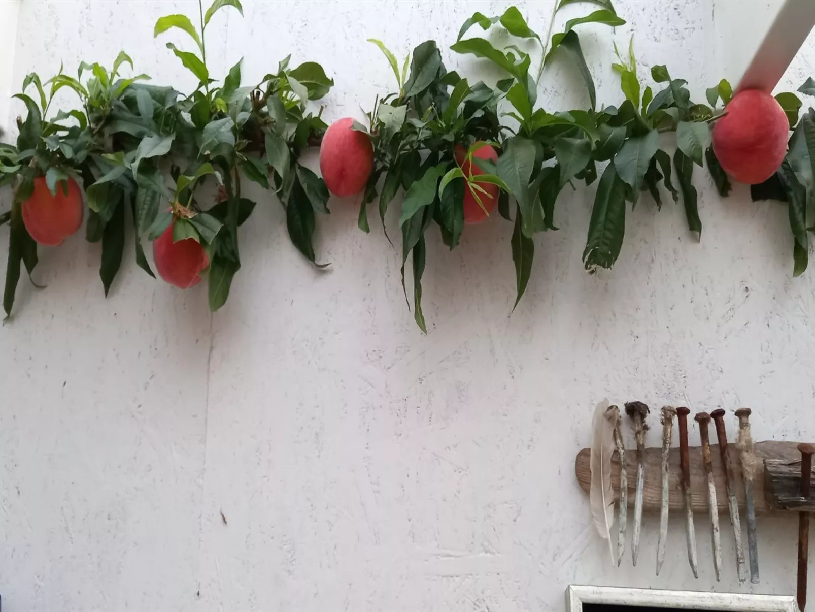 "Hartvig" - 800m from the sea-Binnen