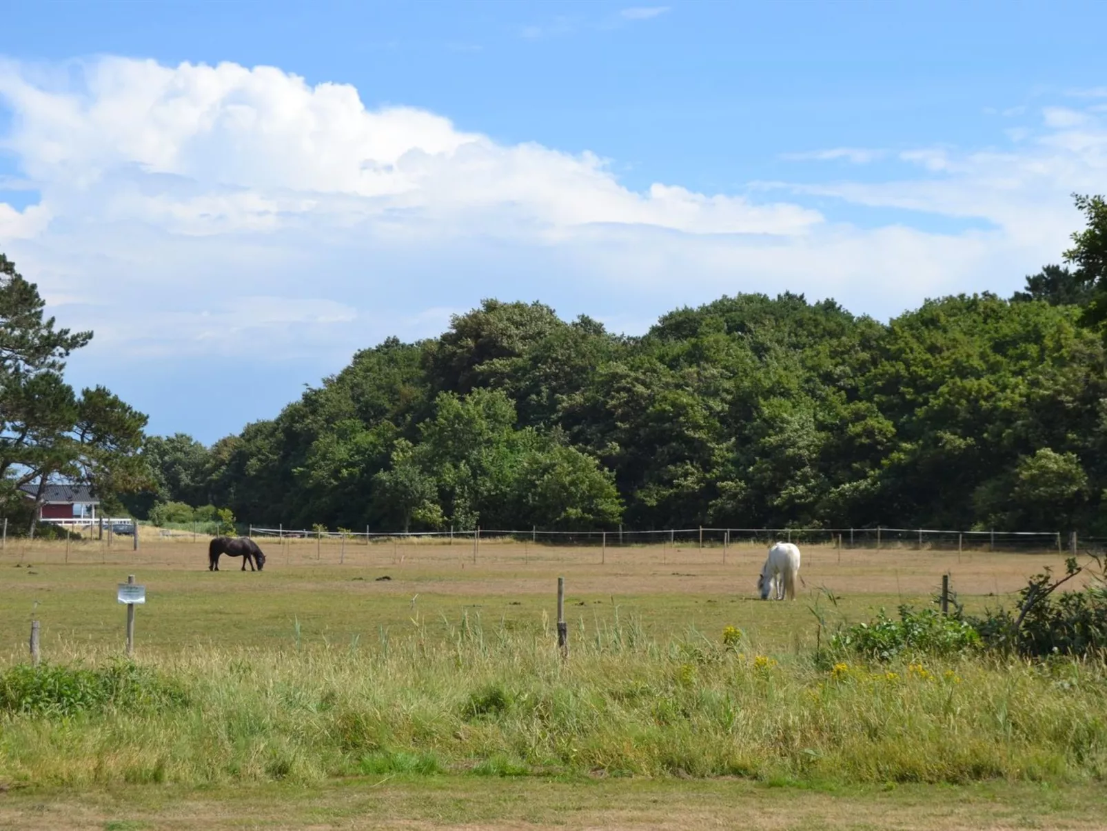 "Vivan" - 3.8km from the sea-Buiten