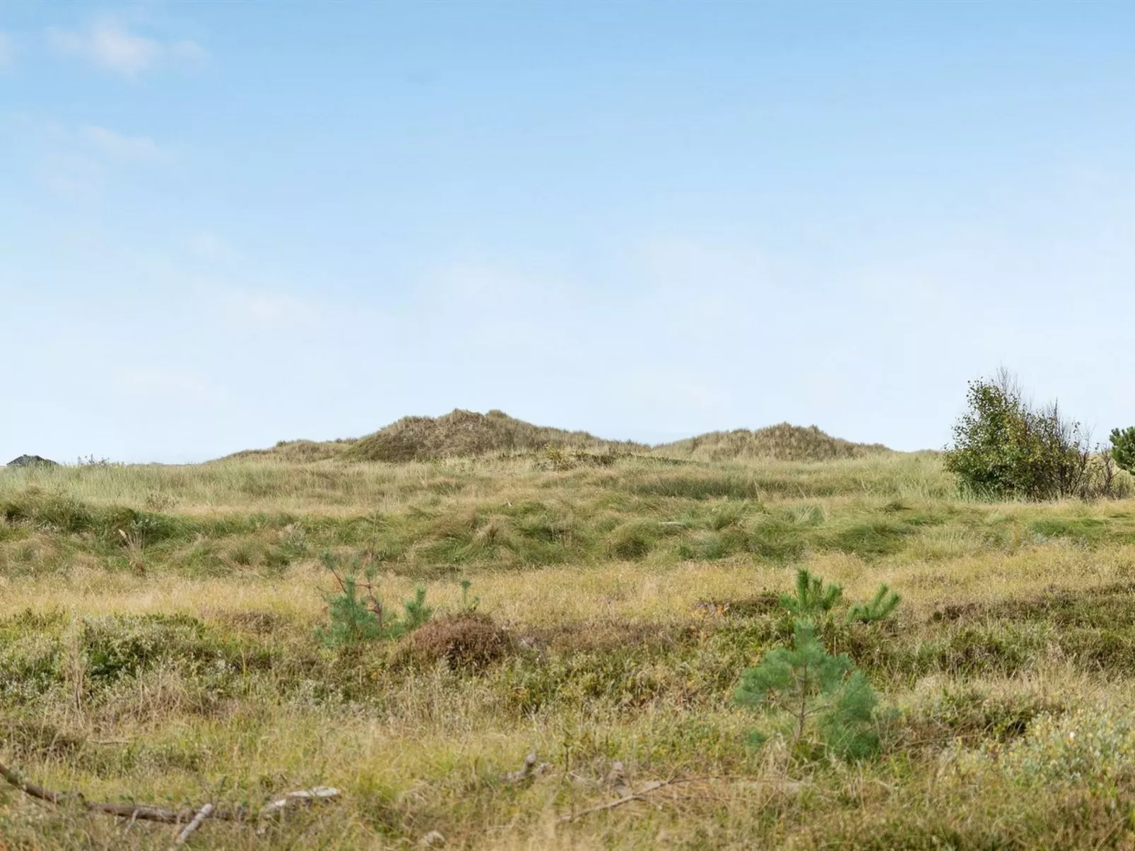 "Tishon" - 100m from the sea-Buiten