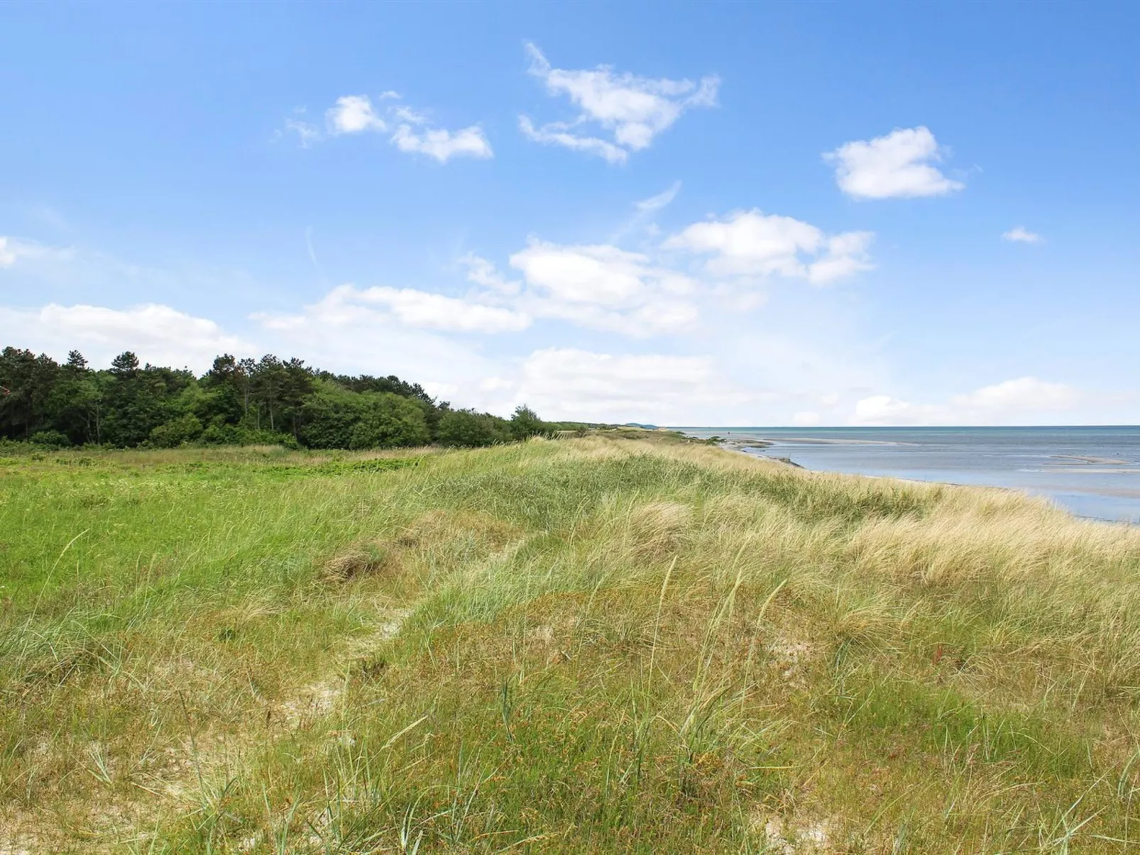 "Amdi" - 100m from the sea-Buiten