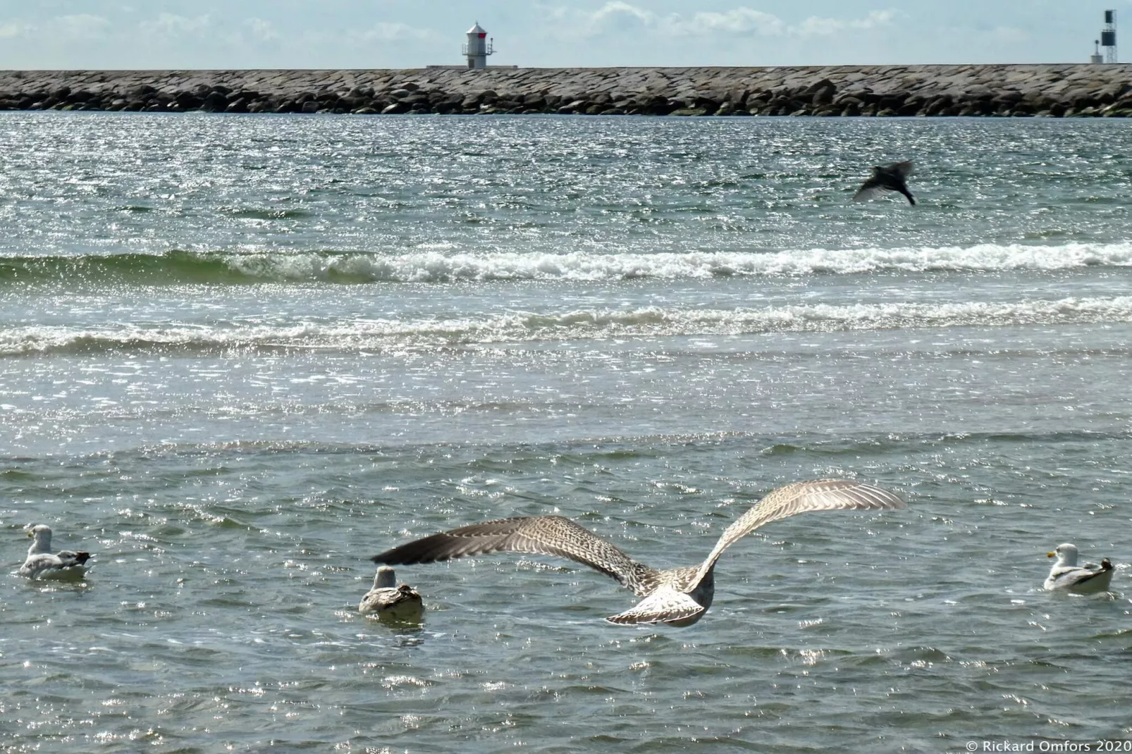 3 persoons vakantie huis in HUNVIGAN-By Traum-Waterzicht