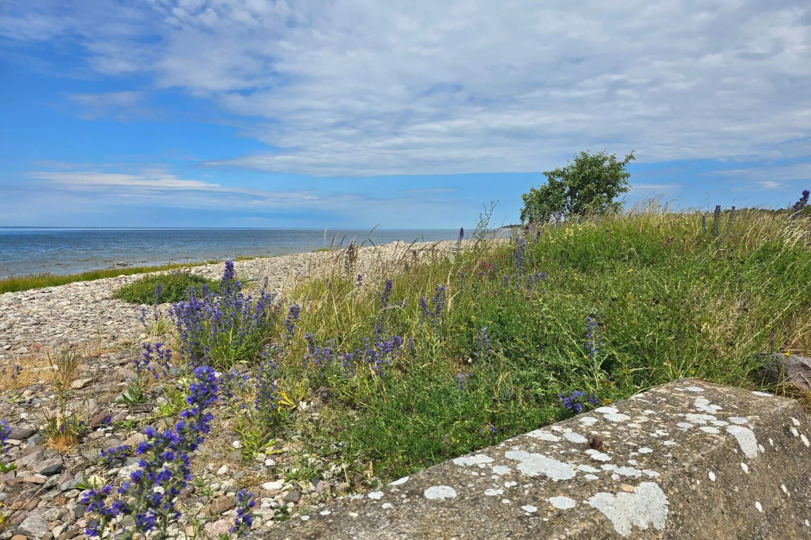 4 sterren vakantie huis in GOTLANDS TOFTA-By Traum-Waterzicht