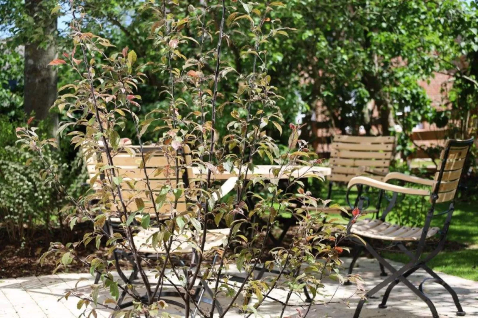 Kapteins Hüüs - ganzes Haus-Woonkamer