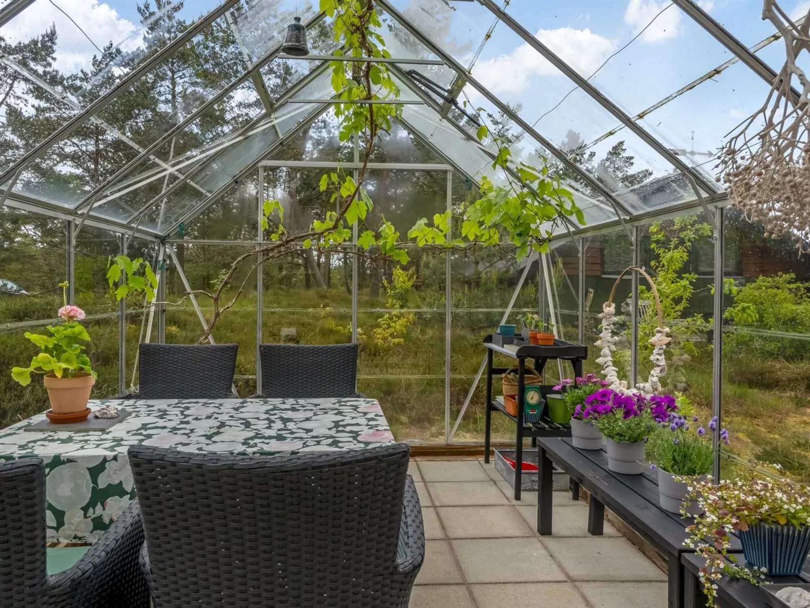 "Eliza" - 600m from the sea-Binnen