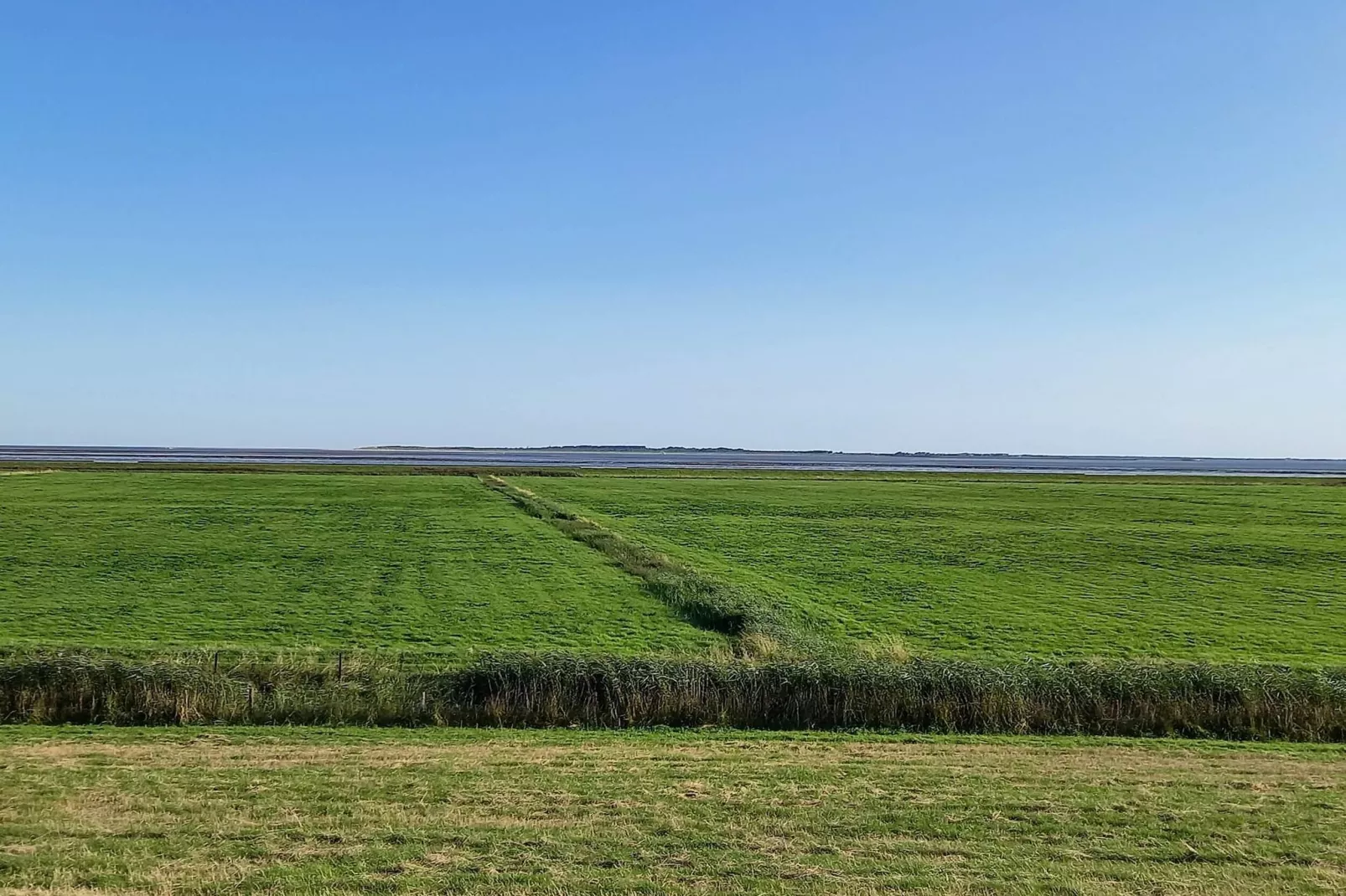 Ferienhaus Seeschwalbe-Gebieden zomer 5km