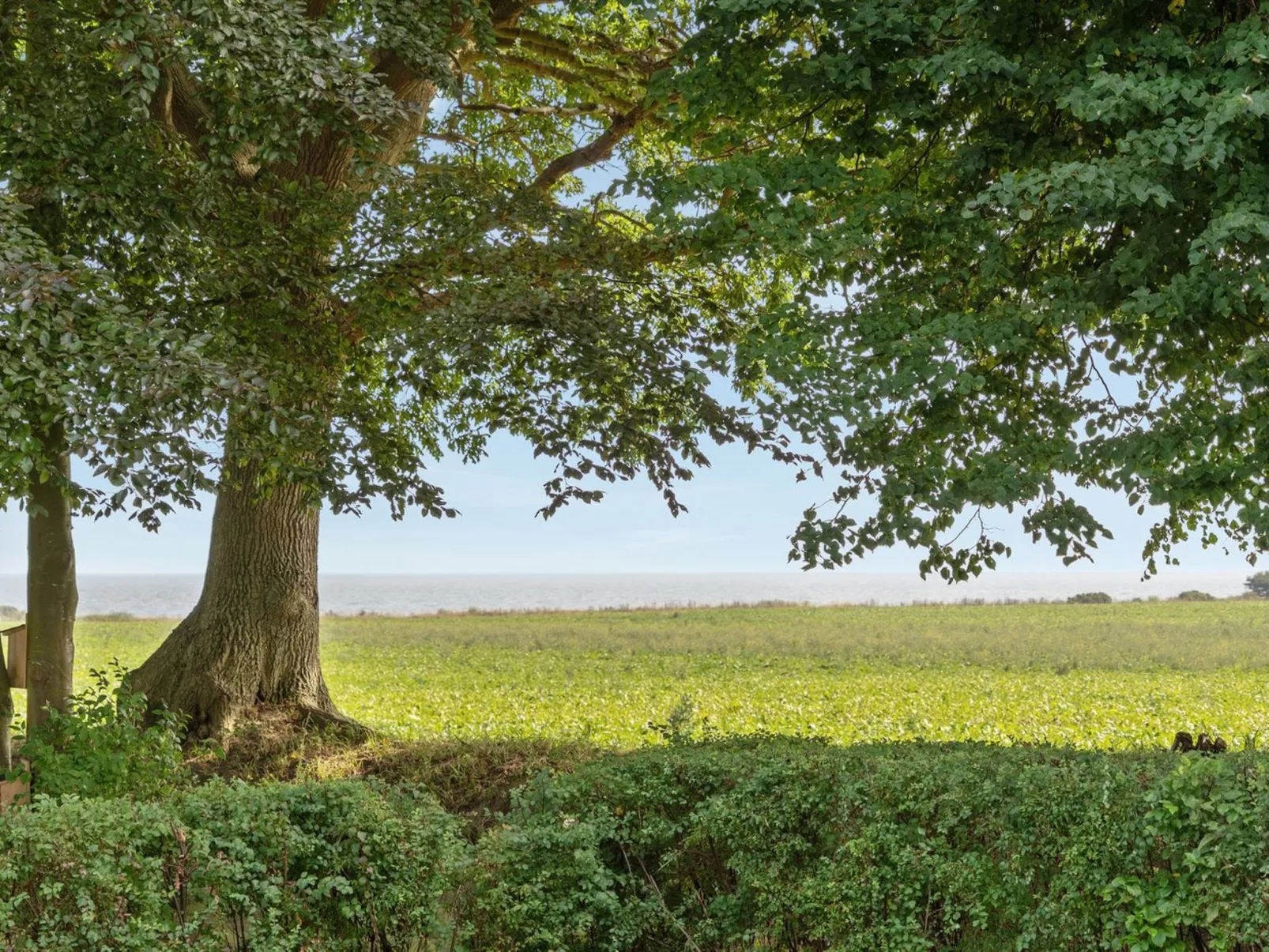 "Francis" - 300m from the sea-Buiten