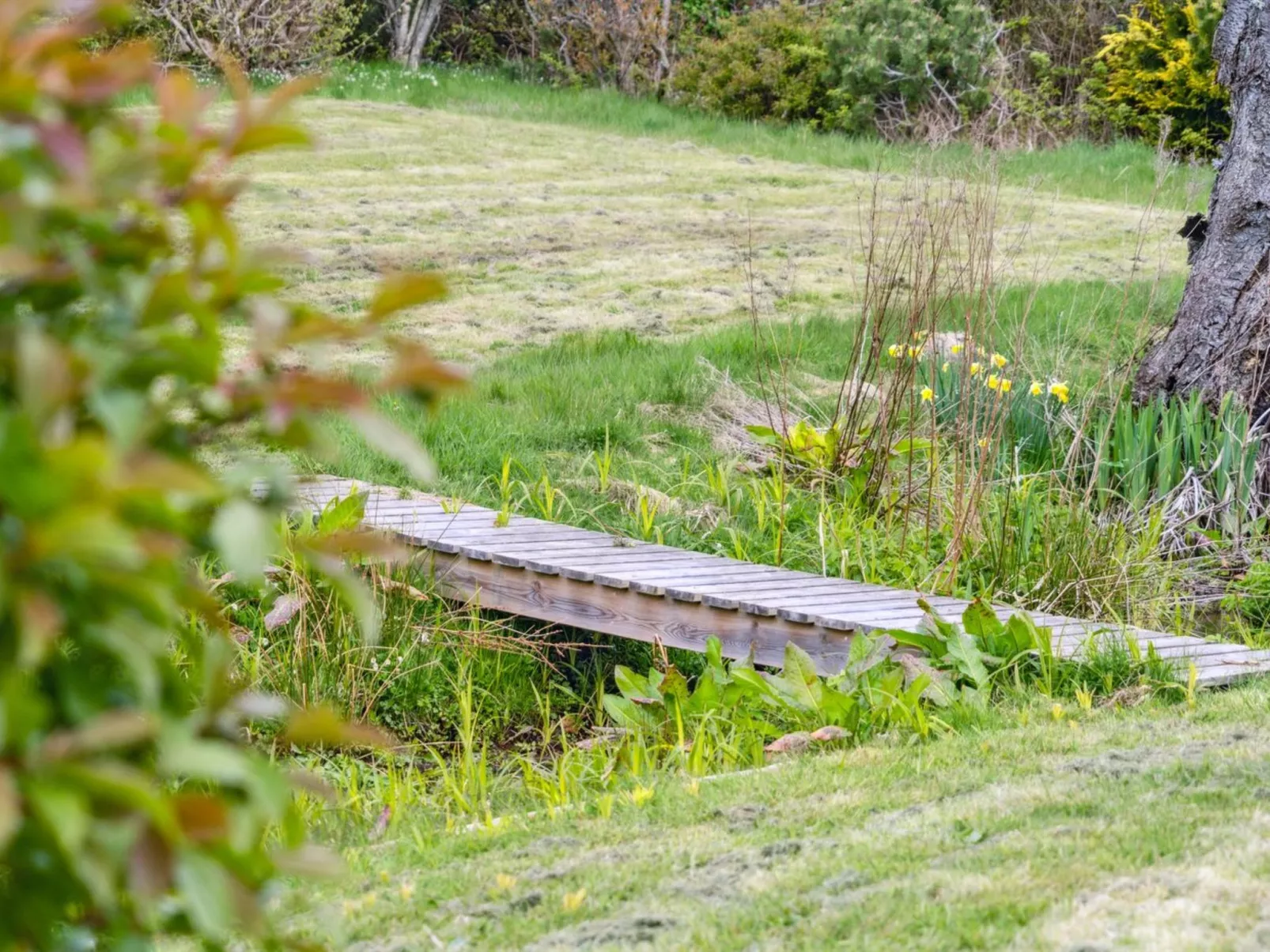 "Malena" - 175m from the sea-Buiten