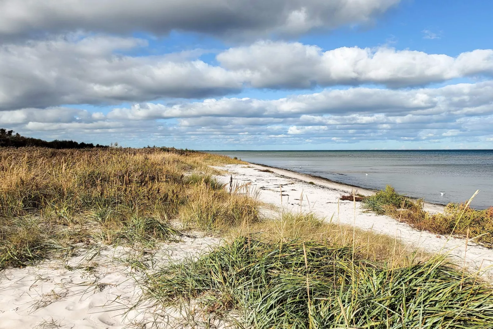 7 Personen vakantie huis in Hadsund-Waterzicht