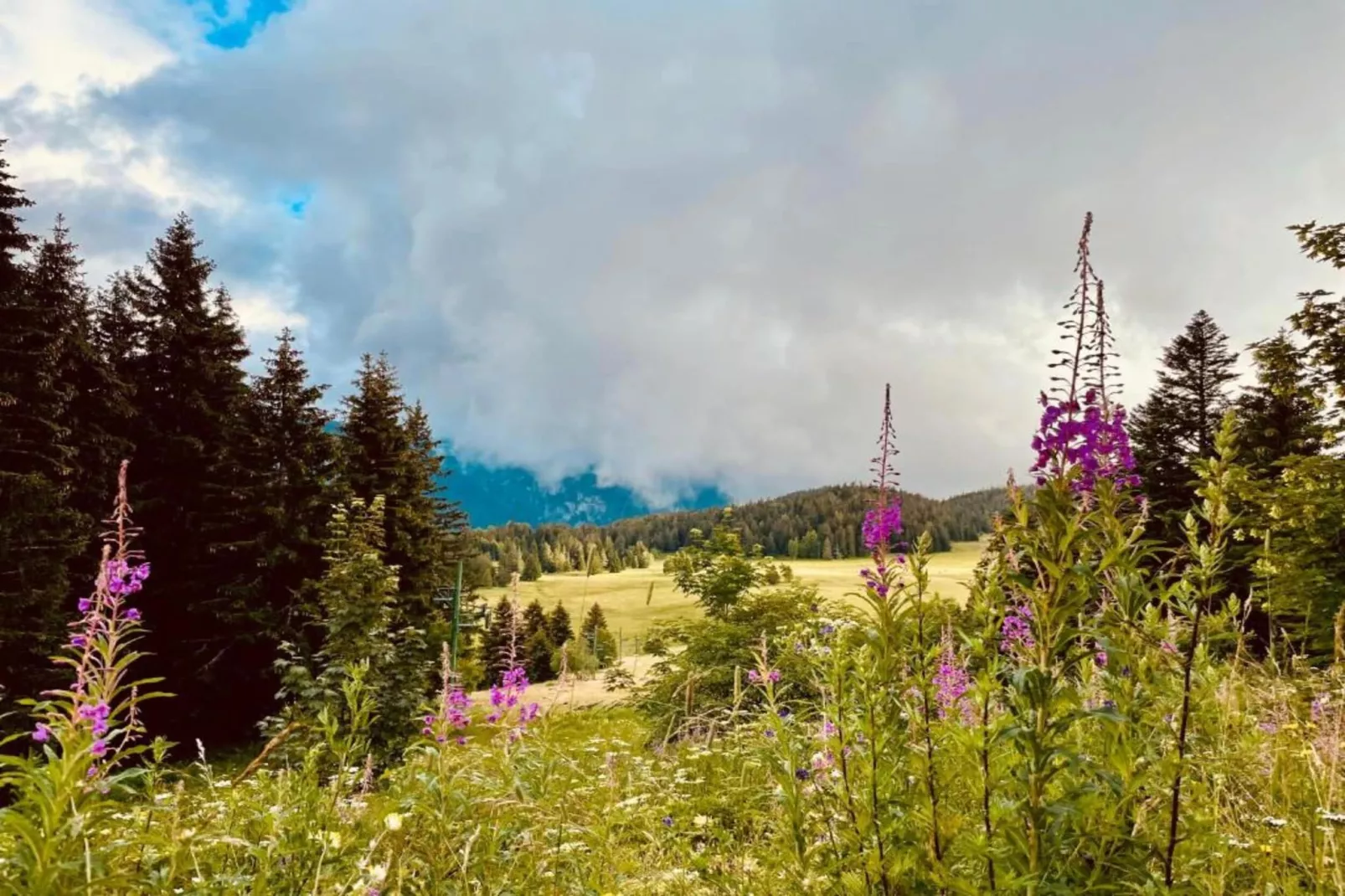 LE VERNON N°1222 - ST4-Gebieden zomer 5km