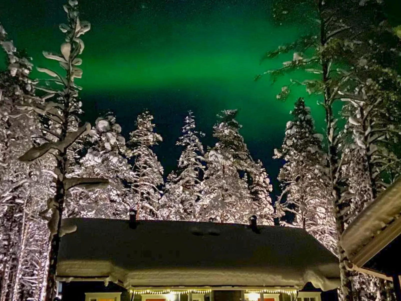 Kevätpiippo b-Binnen