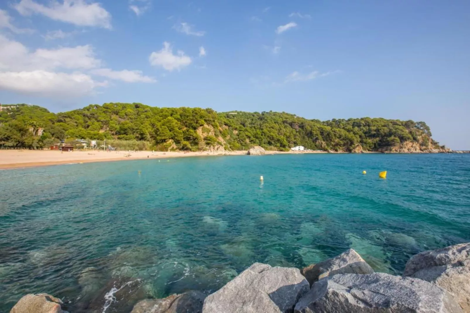 Cora-Gebieden zomer 5km