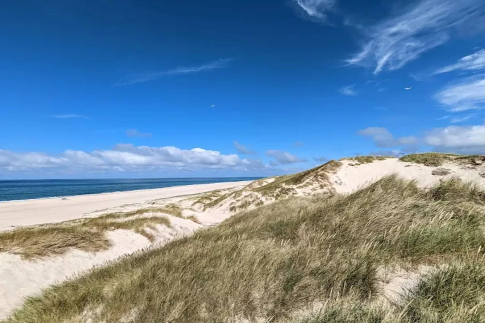 4 sterren vakantie huis in Nørre Nebel-Waterzicht