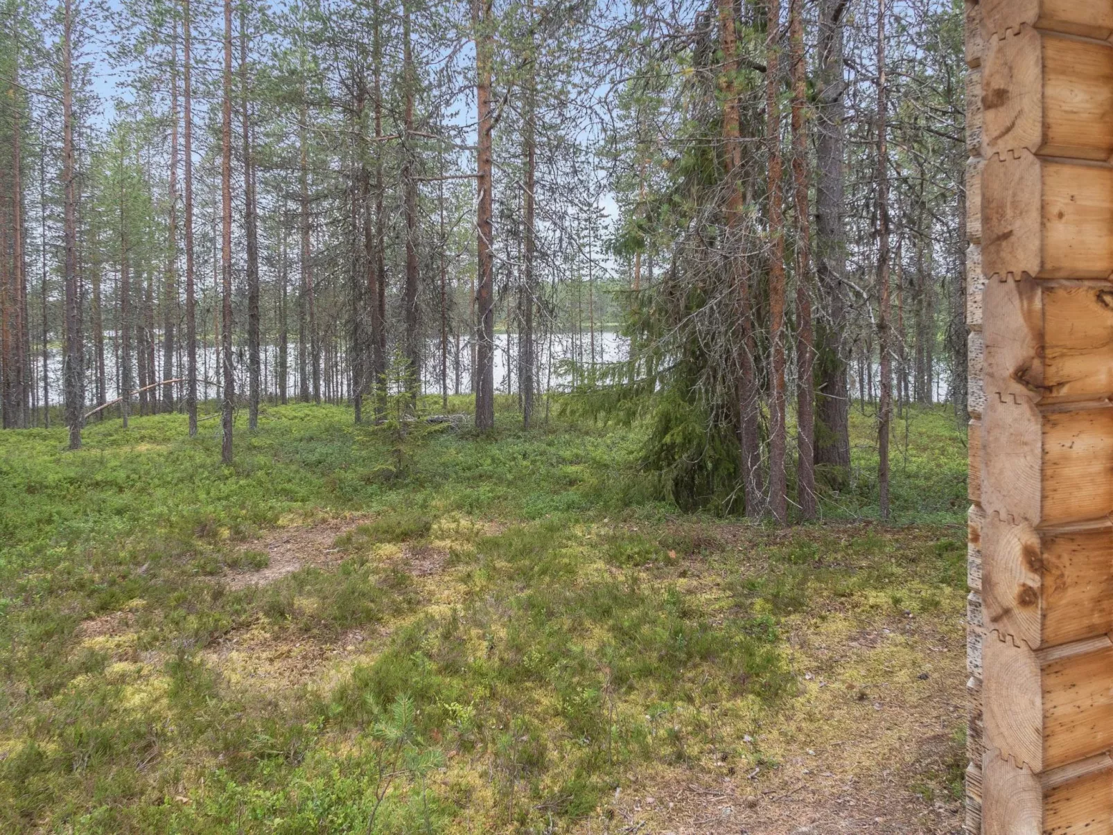 Oivangin siesta-Binnen