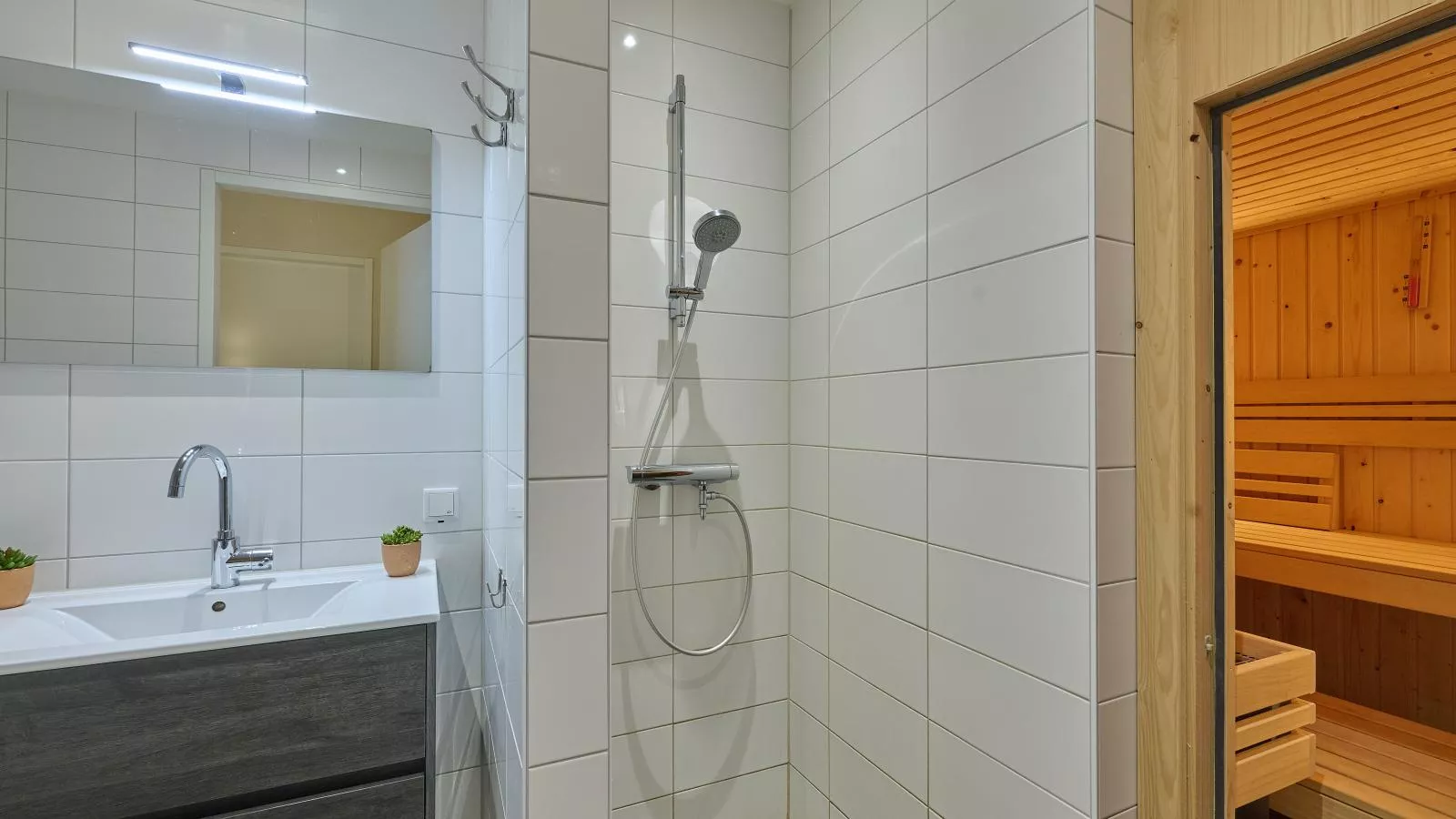 Sauna Zee 27A-Badkamer