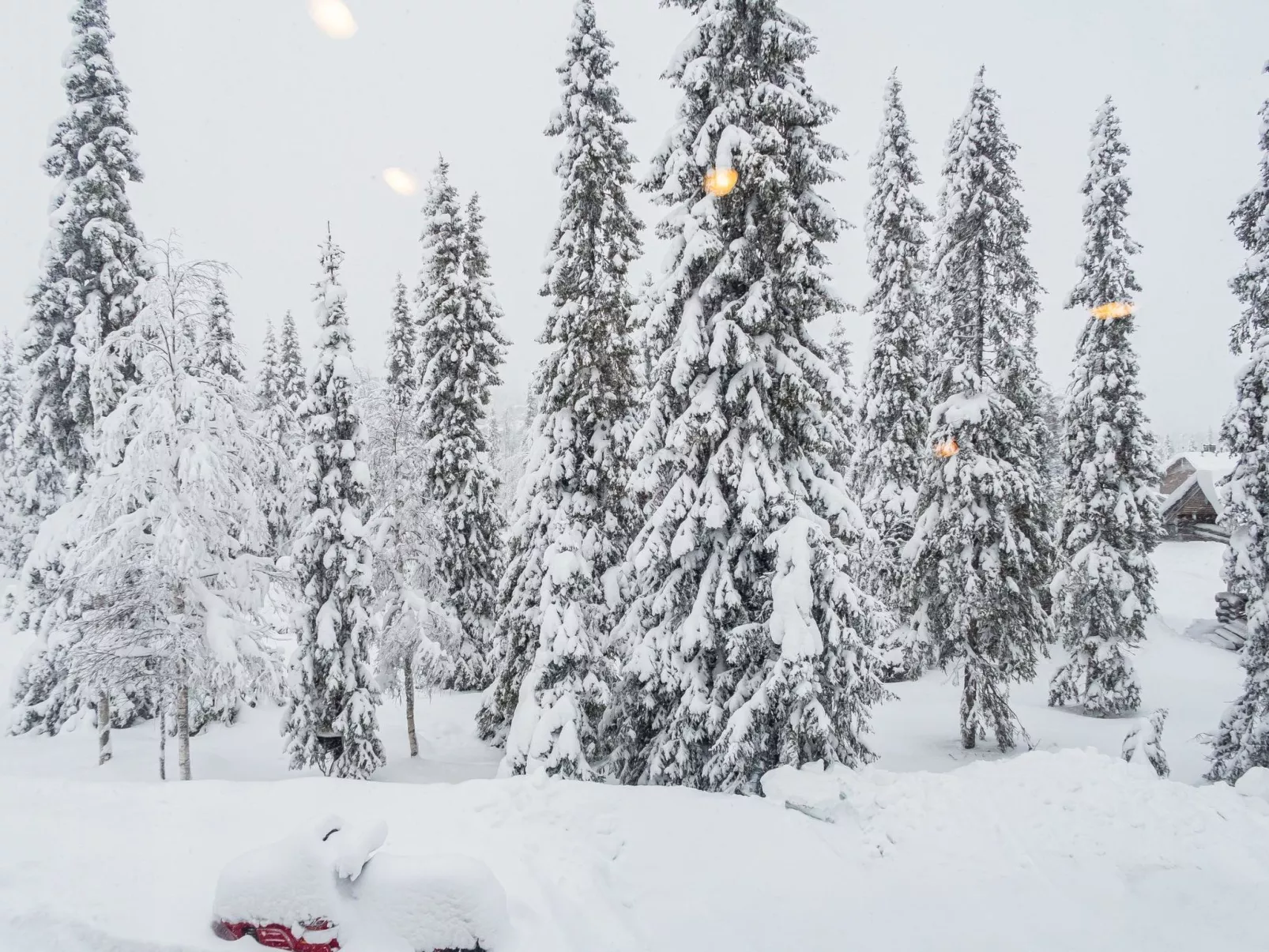 Rukan lepolinna b-Binnen