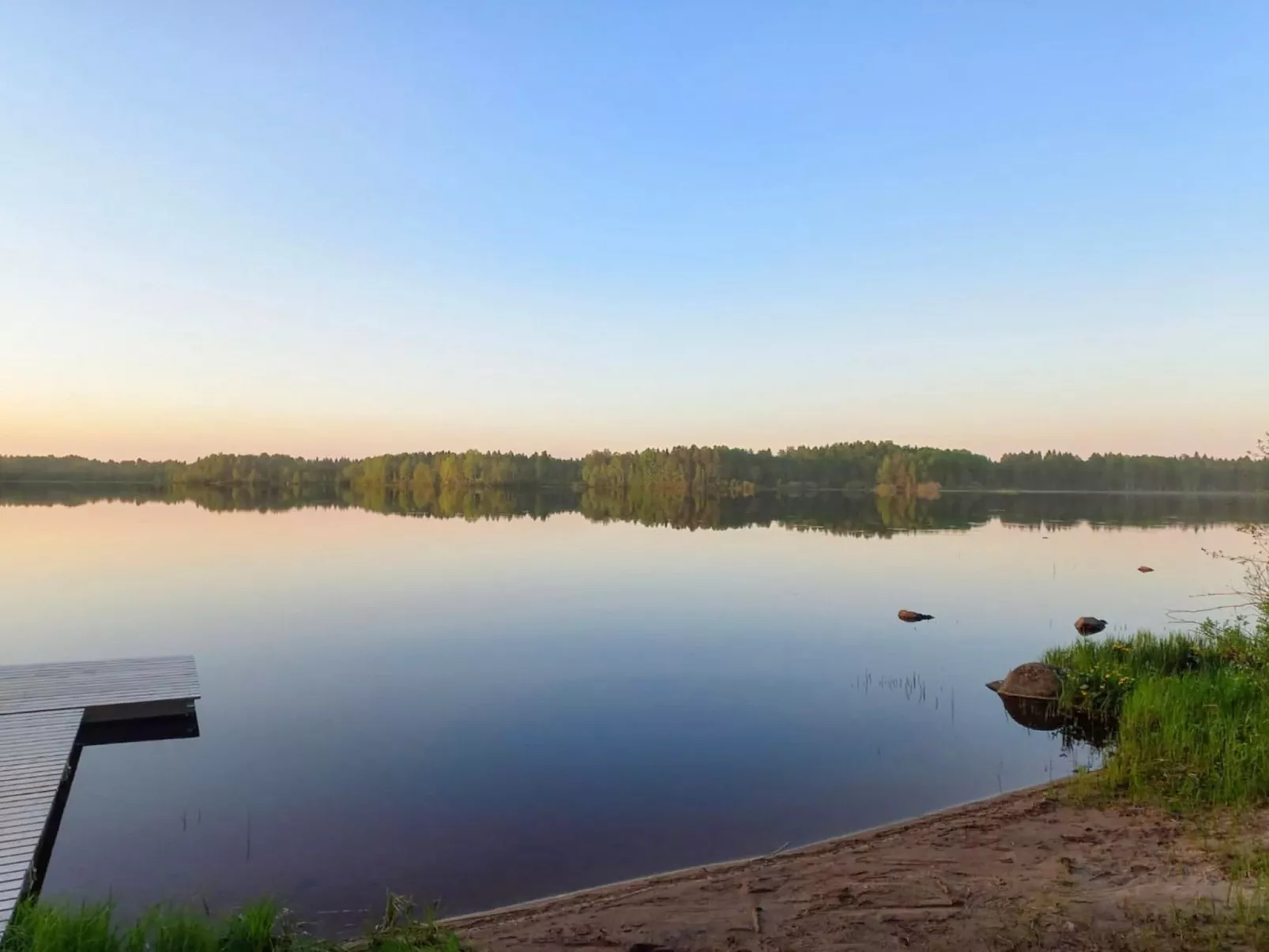 Metsä-pihlaja-Binnen