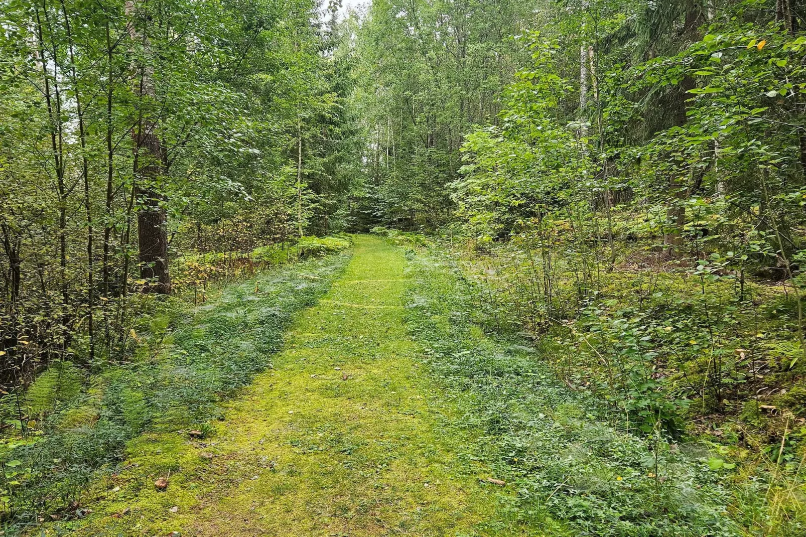 4 sterren vakantie huis in BY KYRKBY - Buitenlucht