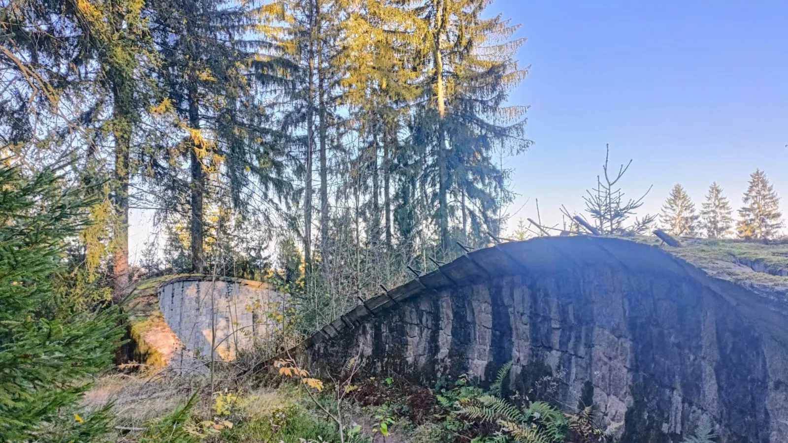Am Sandberg-Gebieden zomer 5km