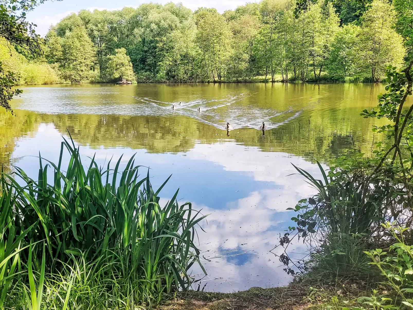 Am Sternberg 115-Buiten