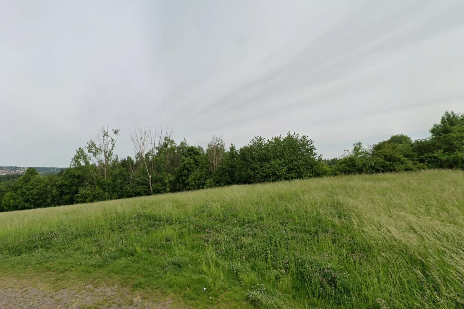 Ferienwohnung Freital - Dresden-Gebieden zomer 5km