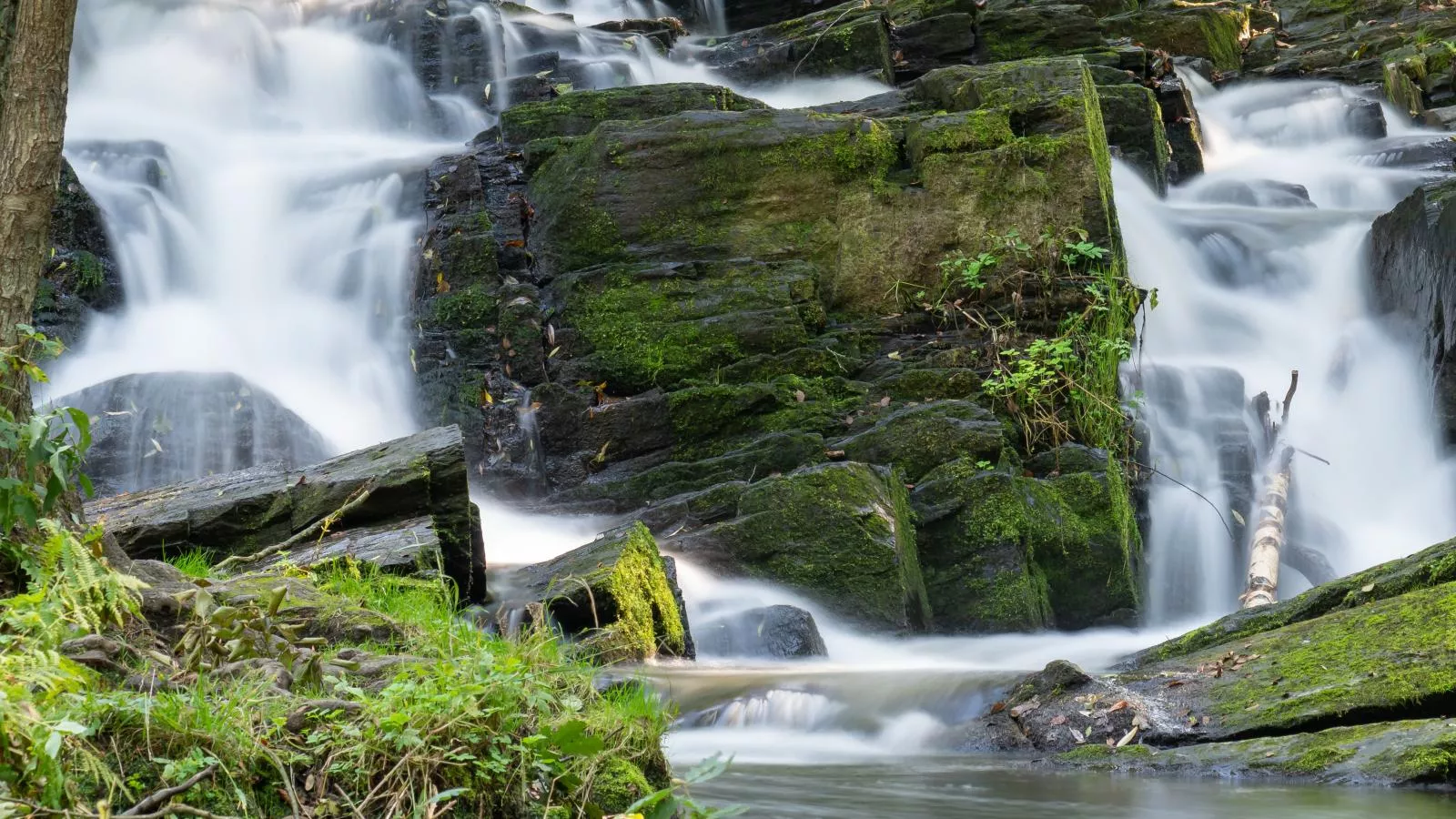 Schloss-Gebieden zomer 20km