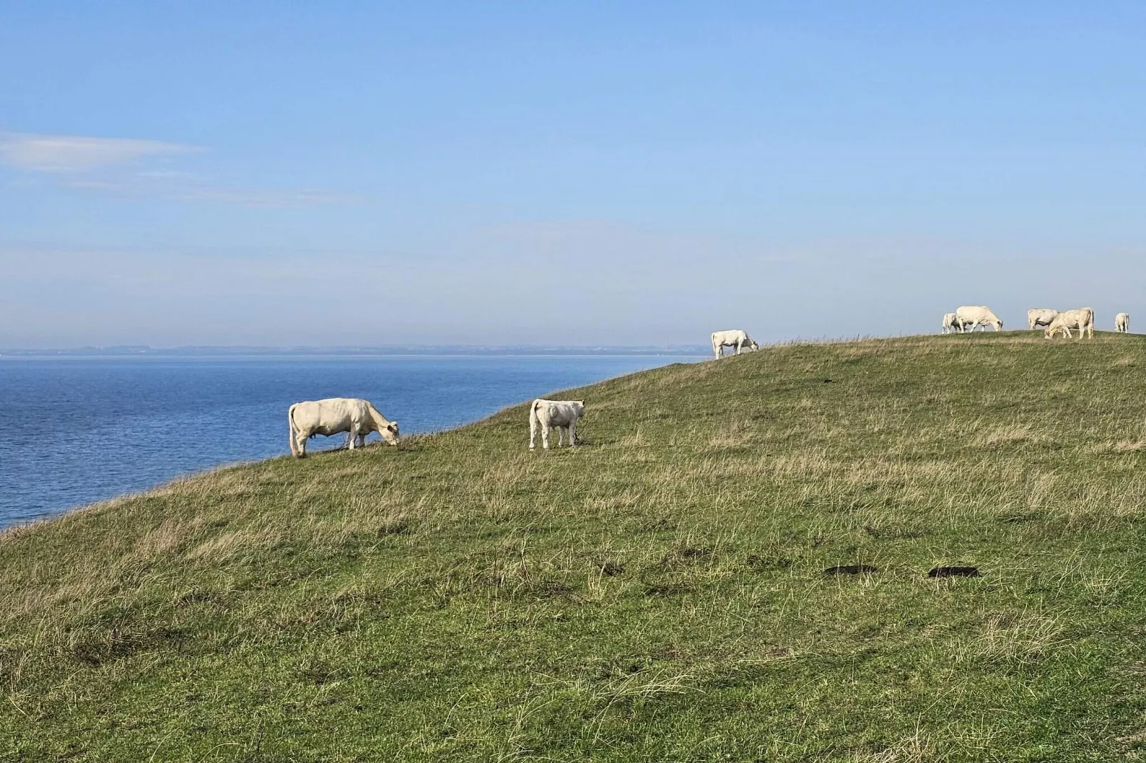 5 sterren vakantie huis in Löderup-Niet-getagd