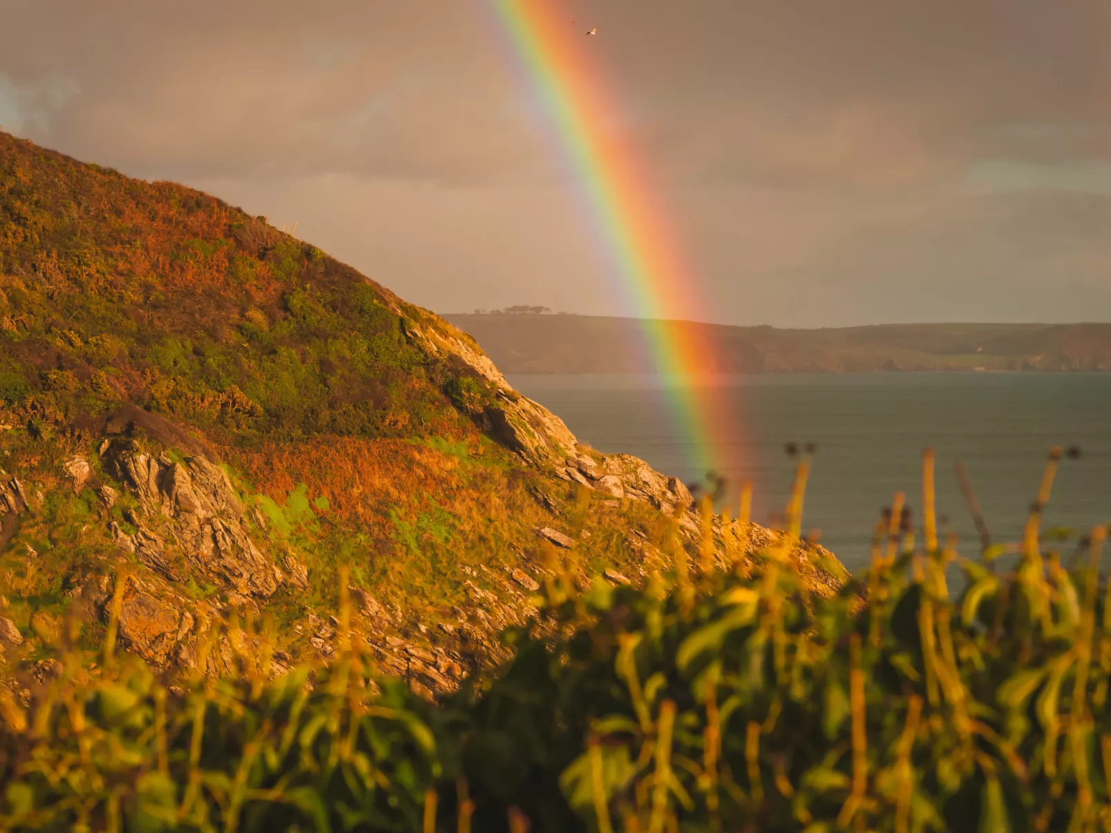 Dingles Cottage-Omgeving