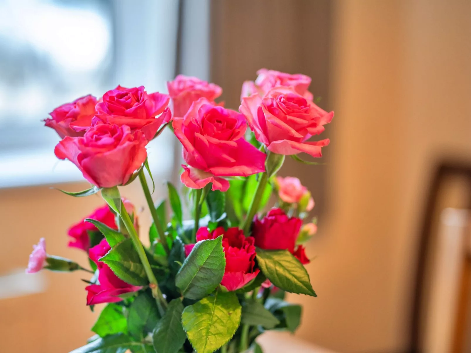 No.1 Gladys' Orchard-Binnen