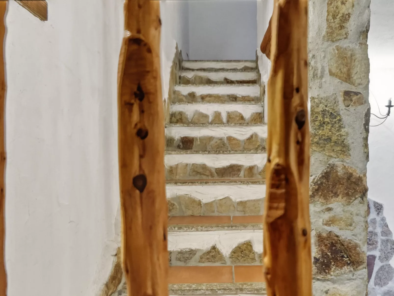 Sporting House-Binnen