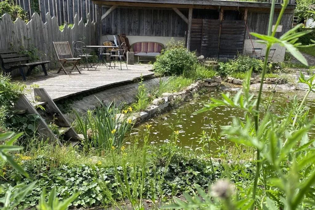 428685 - Niet-getagd