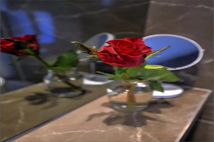 Deluxe Room with King Size Bed (4)-Binnen