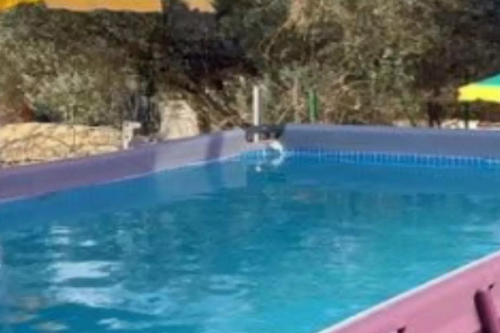 Holiday Home Village Paradise-Zwembad