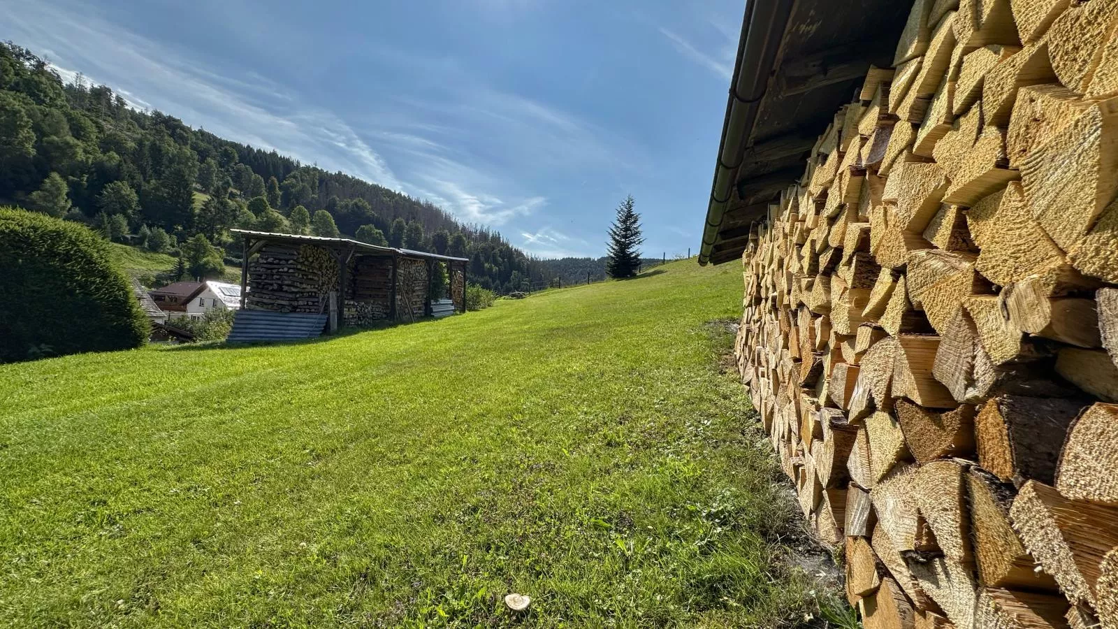 Talblick-Tuinen zomer