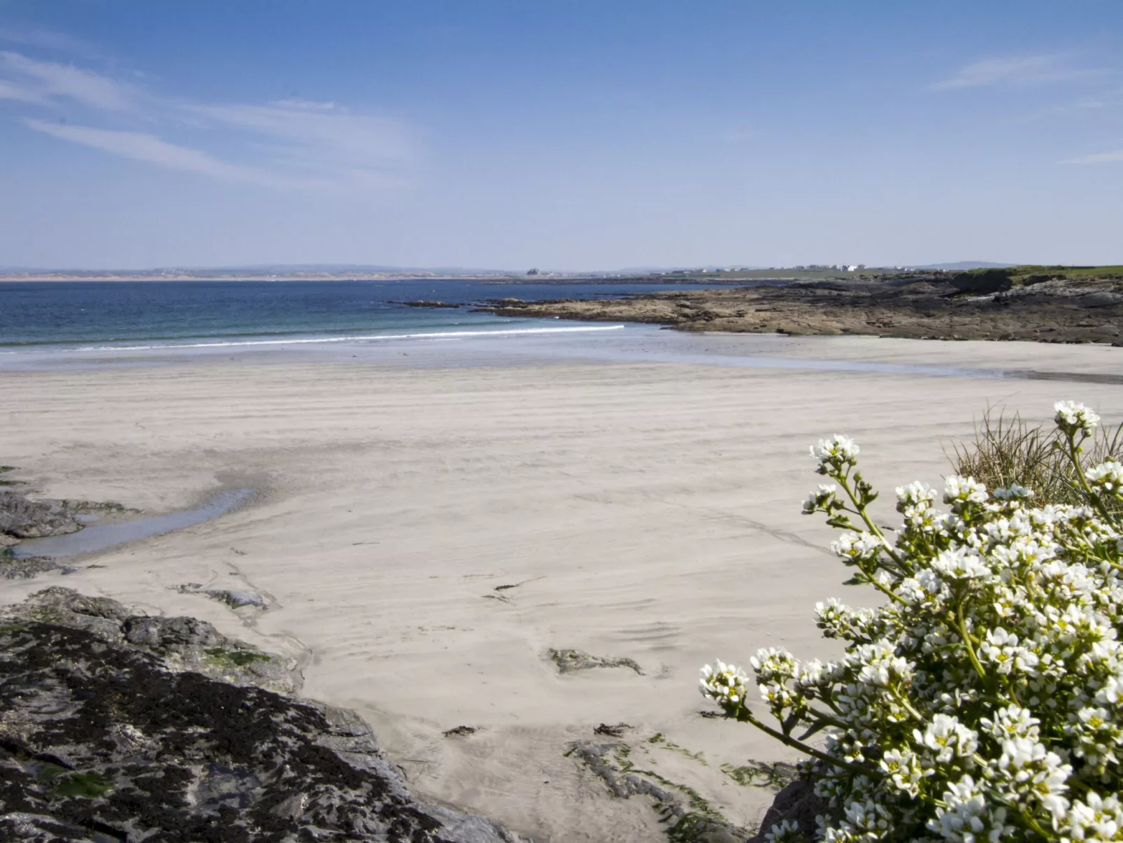 Matthews Cottage Doonbeg-Buiten