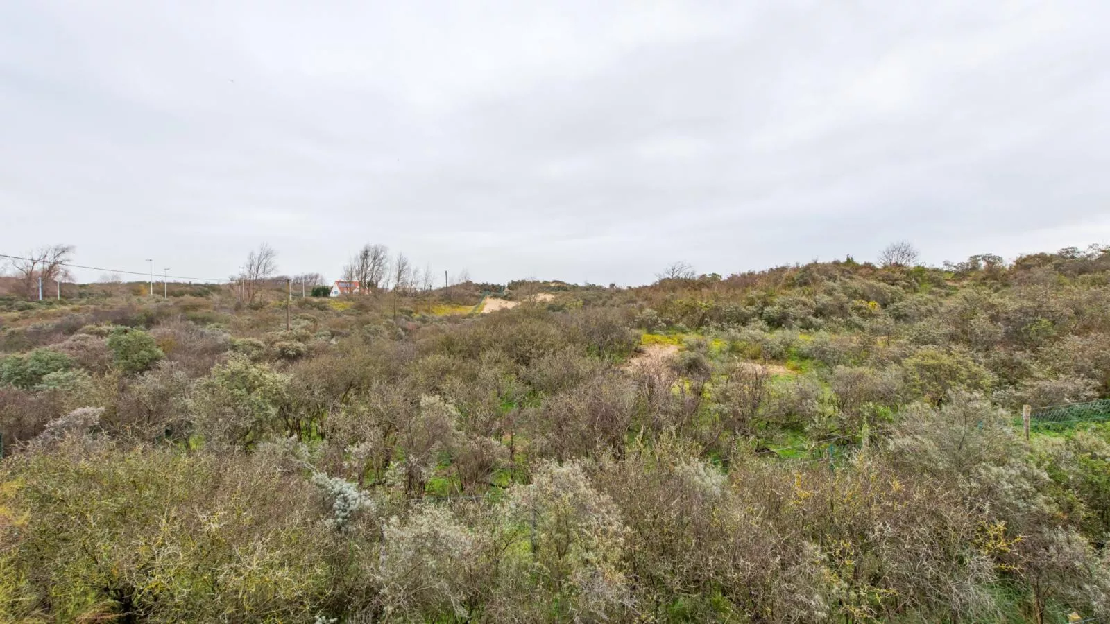 Le Cozy-Uitzicht zomer