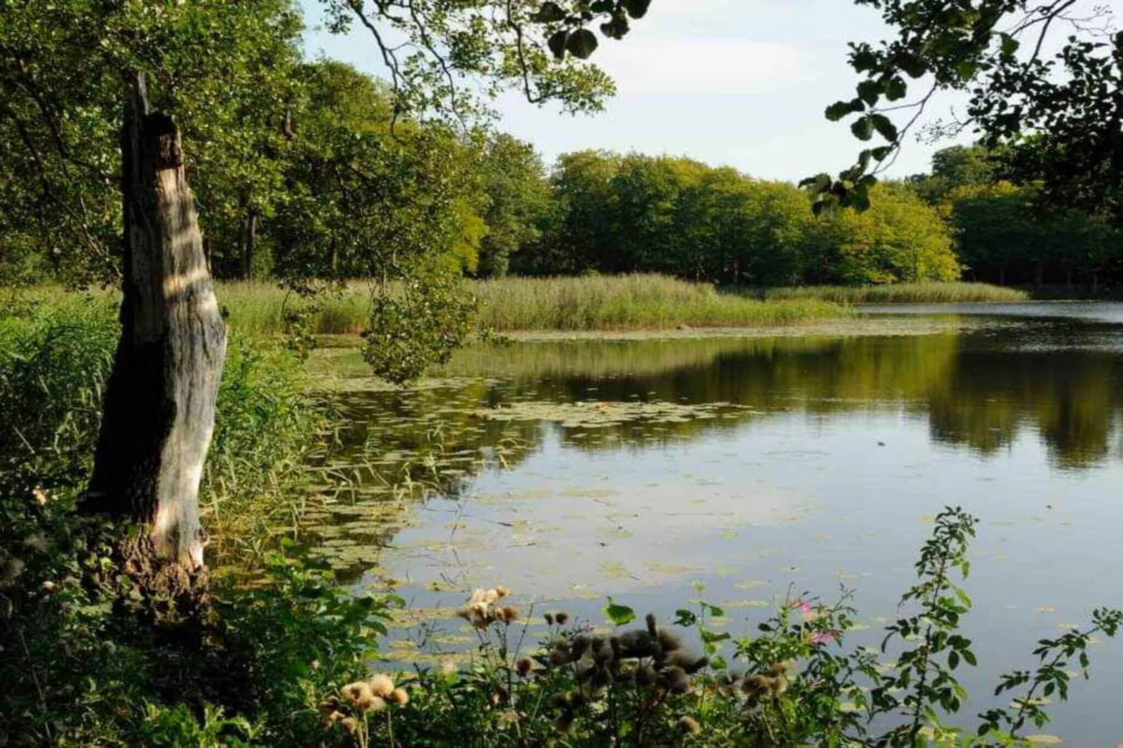 5 sterren vakantie huis in Frederiksværk-Niet-getagd