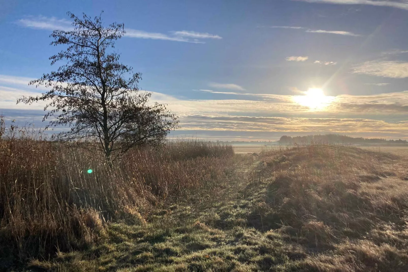 5 sterren vakantie huis in Rødby-Buitenlucht